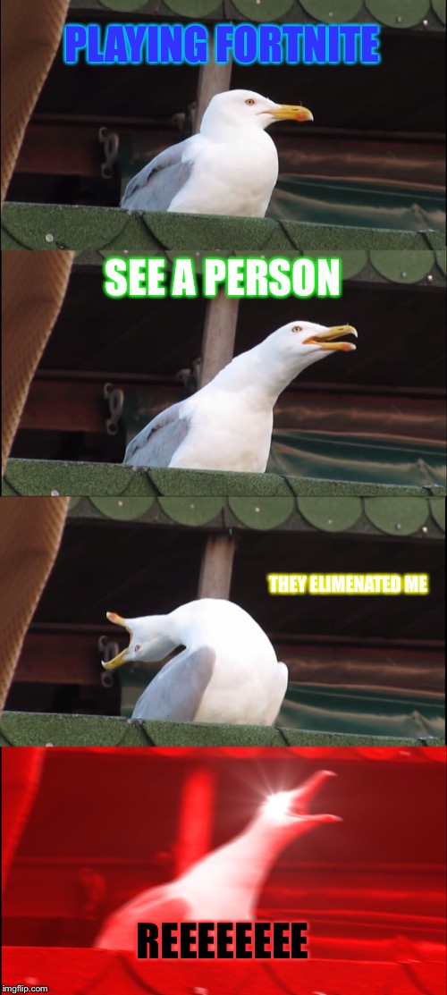 Inhaling Seagull | PLAYING FORTNITE; SEE A PERSON; THEY ELIMENATED ME; REEEEEEEE | image tagged in memes,inhaling seagull | made w/ Imgflip meme maker