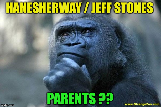 Deep Thoughts | HANESHERWAY / JEFF STONES PARENTS ?? | image tagged in deep thoughts | made w/ Imgflip meme maker