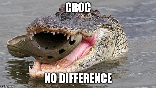 Croc | CROC; NO DIFFERENCE | image tagged in funny | made w/ Imgflip meme maker