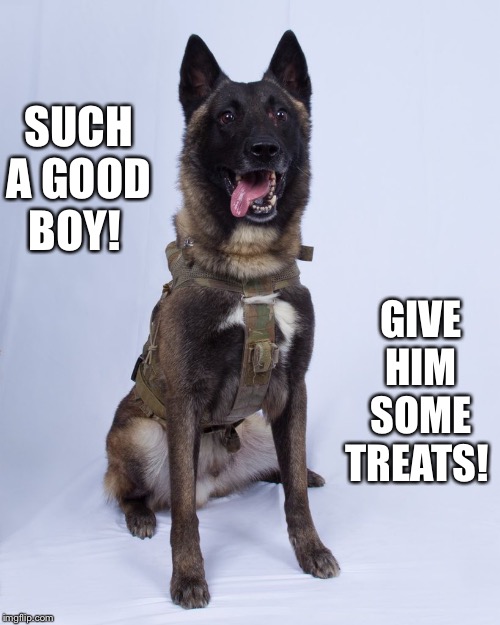 Hero who helped kill Al-Baghdadi | SUCH A GOOD BOY! GIVE HIM SOME TREATS! | image tagged in hero who helped kill al-baghdadi | made w/ Imgflip meme maker