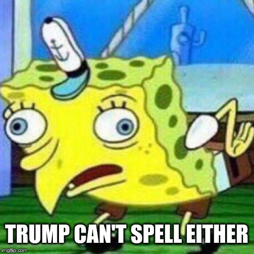 triggerpaul | TRUMP CAN'T SPELL EITHER | image tagged in triggerpaul | made w/ Imgflip meme maker