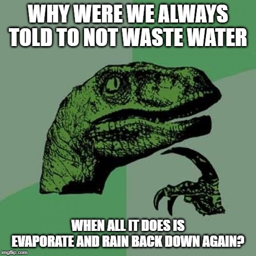 It Recycles Itself Derp! | WHY WERE WE ALWAYS TOLD TO NOT WASTE WATER; WHEN ALL IT DOES IS EVAPORATE AND RAIN BACK DOWN AGAIN? | image tagged in memes,philosoraptor | made w/ Imgflip meme maker