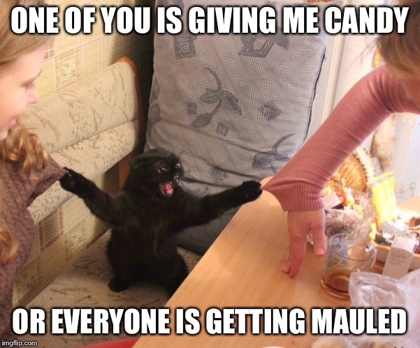 Angry black cat holds two girls sleeves with claws | ONE OF YOU IS GIVING ME CANDY OR EVERYONE IS GETTING MAULED | image tagged in angry black cat holds two girls sleeves with claws | made w/ Imgflip meme maker