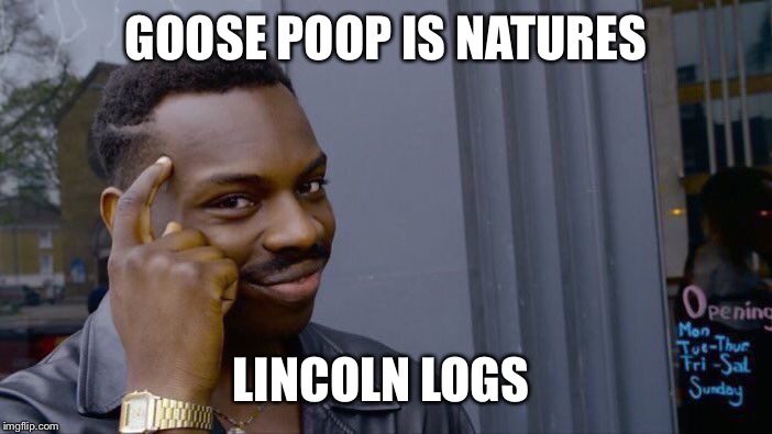 Roll Safe Think About It | GOOSE POOP IS NATURES; LINCOLN LOGS | image tagged in memes,roll safe think about it | made w/ Imgflip meme maker