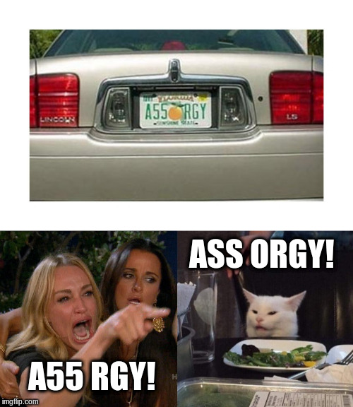 ASS ORGY! A55 RGY! | image tagged in woman yelling at cat | made w/ Imgflip meme maker