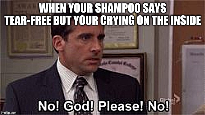 Oh God Please No | WHEN YOUR SHAMPOO SAYS TEAR-FREE BUT YOUR CRYING ON THE INSIDE | image tagged in oh god please no | made w/ Imgflip meme maker