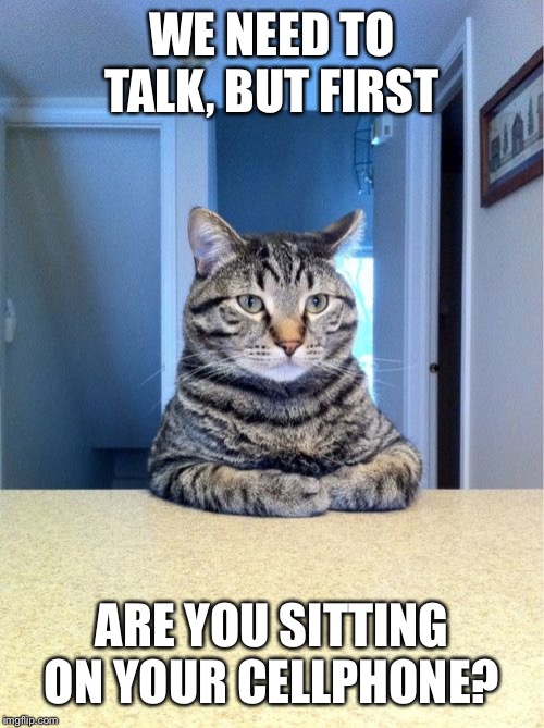 Take A Seat Cat | WE NEED TO TALK, BUT FIRST; ARE YOU SITTING ON YOUR CELLPHONE? | image tagged in memes,take a seat cat | made w/ Imgflip meme maker