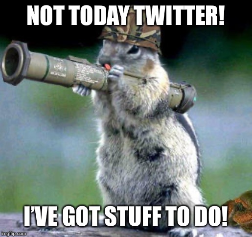 Bazooka Squirrel Meme | NOT TODAY TWITTER! I’VE GOT STUFF TO DO! | image tagged in memes,bazooka squirrel | made w/ Imgflip meme maker