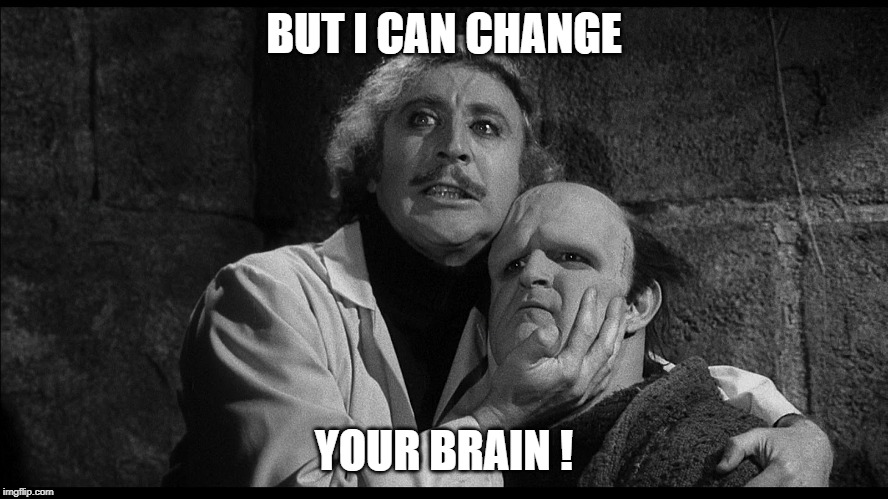 Young Frankenstein | BUT I CAN CHANGE YOUR BRAIN ! | image tagged in young frankenstein | made w/ Imgflip meme maker