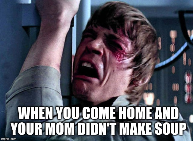 Nooo | WHEN YOU COME HOME AND YOUR MOM DIDN'T MAKE SOUP | image tagged in nooo | made w/ Imgflip meme maker
