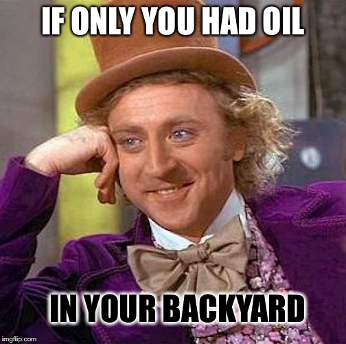 Creepy Condescending Wonka Meme | IF ONLY YOU HAD OIL IN YOUR BACKYARD | image tagged in memes,creepy condescending wonka | made w/ Imgflip meme maker