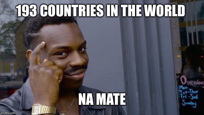 UN history | 193 COUNTRIES IN THE WORLD; NA MATE | image tagged in memes,roll safe think about it | made w/ Imgflip meme maker