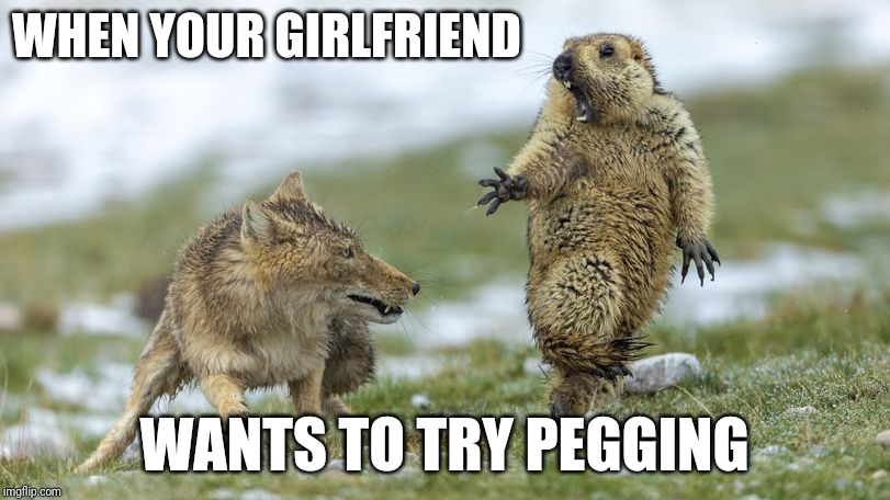 Run Away | WHEN YOUR GIRLFRIEND; WANTS TO TRY PEGGING | image tagged in run away | made w/ Imgflip meme maker