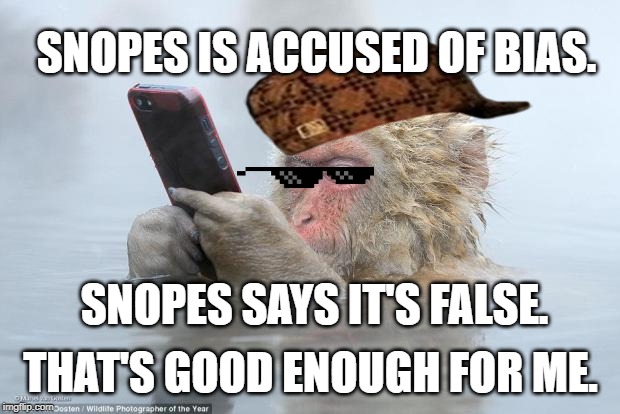 monkey snopes | SNOPES SAYS IT'S FALSE. THAT'S GOOD ENOUGH FOR ME. SNOPES IS ACCUSED OF BIAS. | image tagged in monkey snopes | made w/ Imgflip meme maker