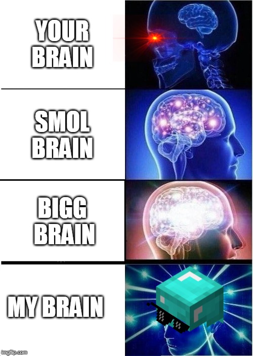 Expanding Brain | YOUR BRAIN; SMOL BRAIN; BIGG  BRAIN; MY BRAIN | image tagged in memes,expanding brain | made w/ Imgflip meme maker
