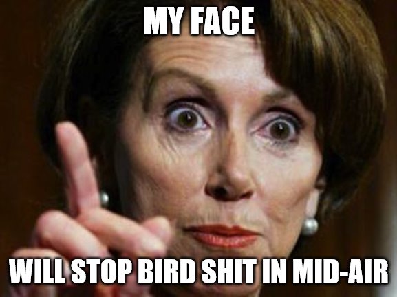 Nancy Pelosi No Spending Problem | MY FACE; WILL STOP BIRD SHIT IN MID-AIR | image tagged in nancy pelosi no spending problem | made w/ Imgflip meme maker