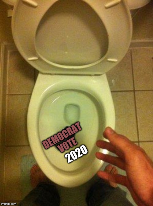 The Democrat Flush! | DEMOCRAT VOTE; 2020 | image tagged in memes,funny,political | made w/ Imgflip meme maker