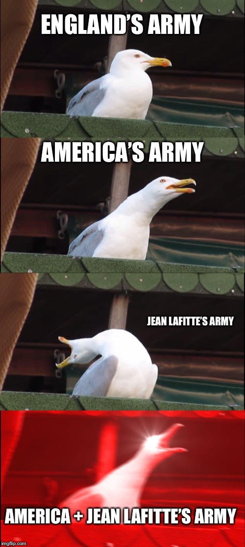 Inhaling Seagull | ENGLAND’S ARMY; AMERICA’S ARMY; JEAN LAFITTE’S ARMY; AMERICA + JEAN LAFITTE’S ARMY | image tagged in memes,inhaling seagull | made w/ Imgflip meme maker