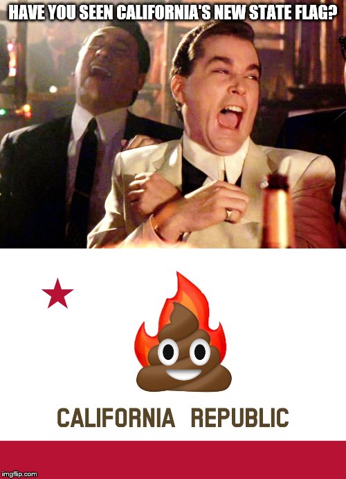 The new California! Poop, fire, and emojis! | HAVE YOU SEEN CALIFORNIA'S NEW STATE FLAG? | image tagged in new california flag,poop emoji,fire,funny memes,politics | made w/ Imgflip meme maker