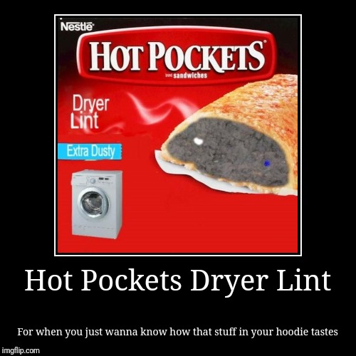 Hot pockets Dryer lint | image tagged in funny,demotivationals | made w/ Imgflip demotivational maker