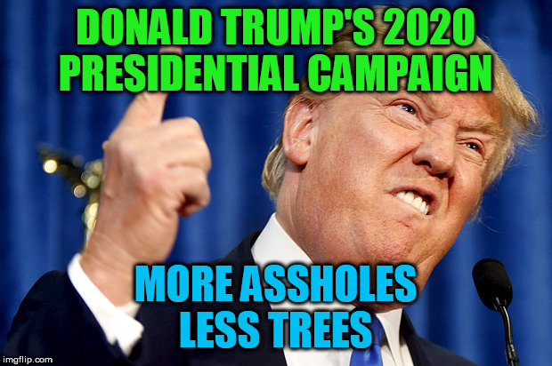 Donald Trump | DONALD TRUMP'S 2020 PRESIDENTIAL CAMPAIGN; MORE ASSHOLES
LESS TREES | image tagged in donald trump | made w/ Imgflip meme maker