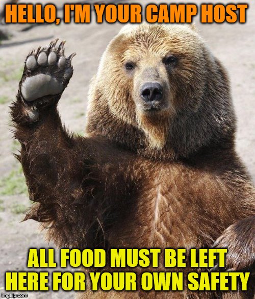 Hello bear | HELLO, I'M YOUR CAMP HOST; ALL FOOD MUST BE LEFT HERE FOR YOUR OWN SAFETY | image tagged in hello bear,memes,meme,funny | made w/ Imgflip meme maker