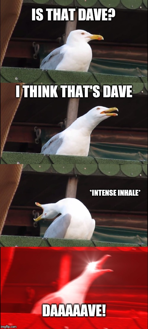 Inhaling Seagull | IS THAT DAVE? I THINK THAT'S DAVE; *INTENSE INHALE*; DAAAAAVE! | image tagged in memes,inhaling seagull | made w/ Imgflip meme maker