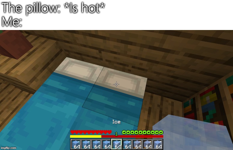 The pillow: *Is hot*
Me: | image tagged in minecraft | made w/ Imgflip meme maker