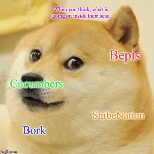 Doge | When you think, what is going on inside their head; Bepis; Cucumbers; ShibeNation; Bork | image tagged in memes,doge | made w/ Imgflip meme maker