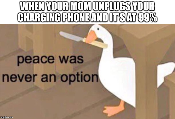 That or when it’s at 3% | WHEN YOUR MOM UNPLUGS YOUR CHARGING PHONE AND IT’S AT 99% | image tagged in untitled goose peace was never an option,memes,charger | made w/ Imgflip meme maker