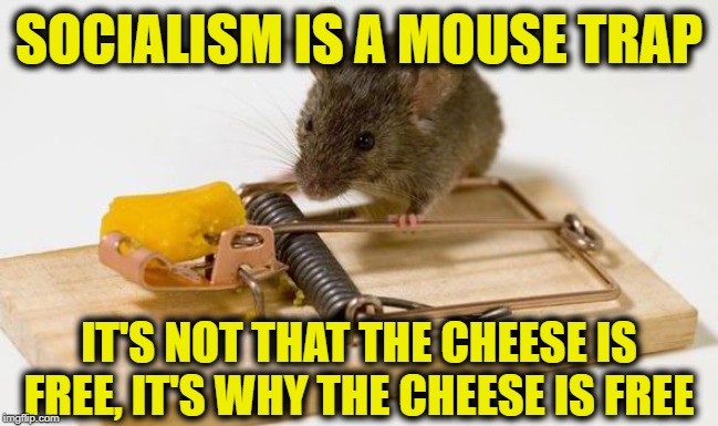 mousetrap | SOCIALISM IS A MOUSE TRAP; IT'S NOT THAT THE CHEESE IS FREE, IT'S WHY THE CHEESE IS FREE | image tagged in mousetrap | made w/ Imgflip meme maker