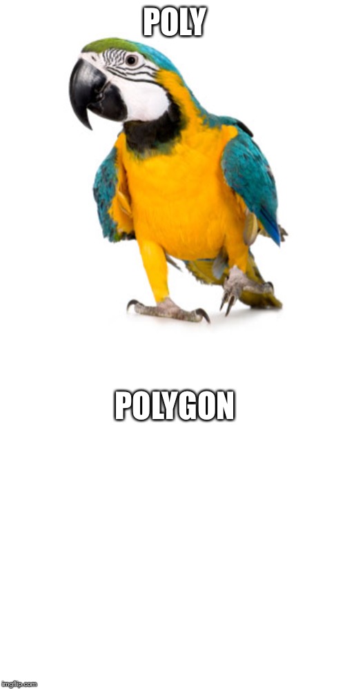 POLY POLYGON | image tagged in parrot | made w/ Imgflip meme maker