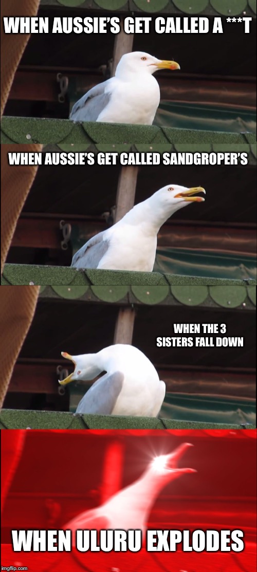 Inhaling Seagull Meme | WHEN AUSSIE’S GET CALLED A ***T; WHEN AUSSIE’S GET CALLED SANDGROPER’S; WHEN THE 3 SISTERS FALL DOWN; WHEN ULURU EXPLODES | image tagged in memes,inhaling seagull | made w/ Imgflip meme maker