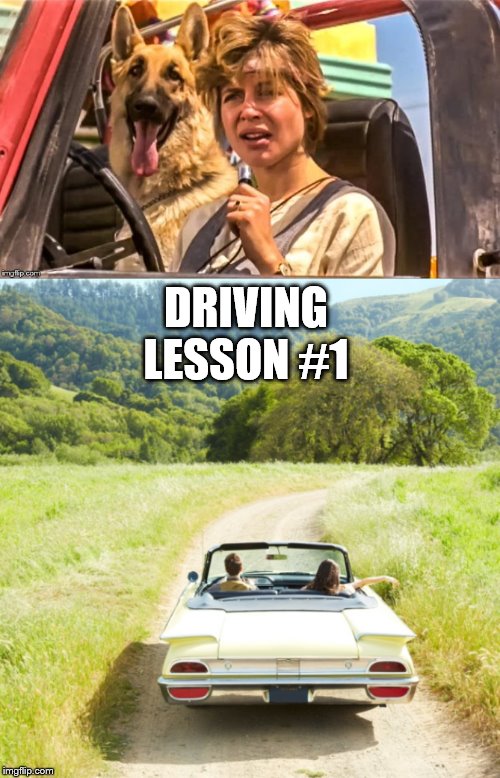 sarah conner drive | DRIVING LESSON #1 | image tagged in terminator | made w/ Imgflip meme maker