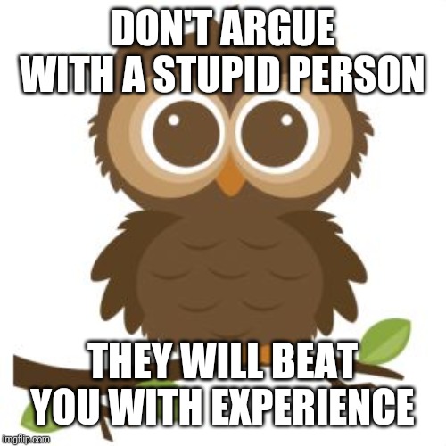 Wise Old Owl Advice | DON'T ARGUE WITH A STUPID PERSON; THEY WILL BEAT YOU WITH EXPERIENCE | image tagged in advice | made w/ Imgflip meme maker