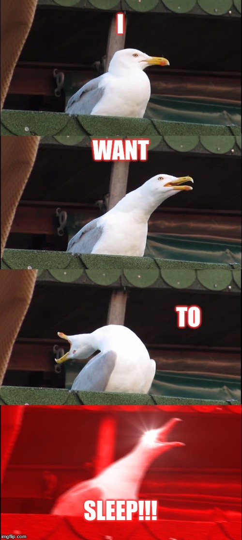 Inhaling Seagull Meme | I; WANT; TO; SLEEP!!! | image tagged in memes,inhaling seagull | made w/ Imgflip meme maker