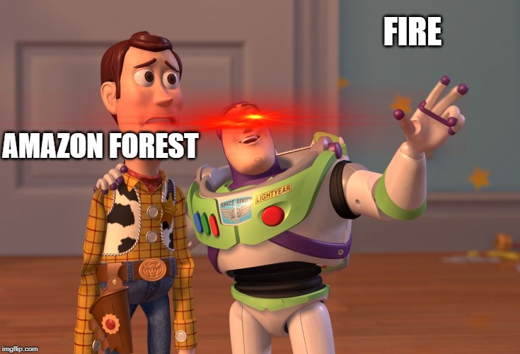 X, X Everywhere | FIRE; AMAZON FOREST | image tagged in memes,x x everywhere | made w/ Imgflip meme maker