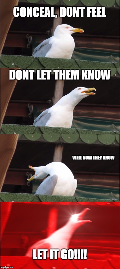 Inhaling Seagull Meme | CONCEAL, DONT FEEL; DONT LET THEM KNOW; WELL NOW THEY KNOW; LET IT GO!!!! | image tagged in memes,inhaling seagull | made w/ Imgflip meme maker