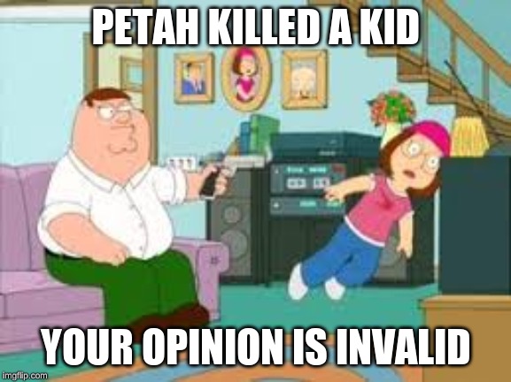 PeterBeater | PETAH KILLED A KID; YOUR OPINION IS INVALID | image tagged in peterbeater | made w/ Imgflip meme maker