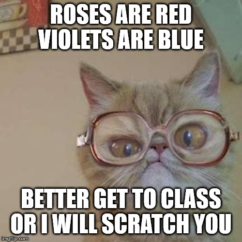 Funny Cat with Glasses | ROSES ARE RED VIOLETS ARE BLUE; BETTER GET TO CLASS OR I WILL SCRATCH YOU | image tagged in funny cat with glasses | made w/ Imgflip meme maker