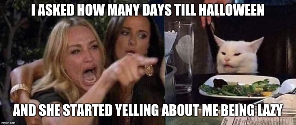 woman yelling at cat | I ASKED HOW MANY DAYS TILL HALLOWEEN; AND SHE STARTED YELLING ABOUT ME BEING LAZY | image tagged in woman yelling at cat | made w/ Imgflip meme maker