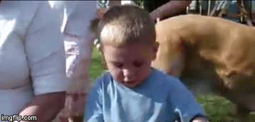When You Find a Fly in Your Soup | image tagged in gifs,reactions | made w/ Imgflip video-to-gif maker
