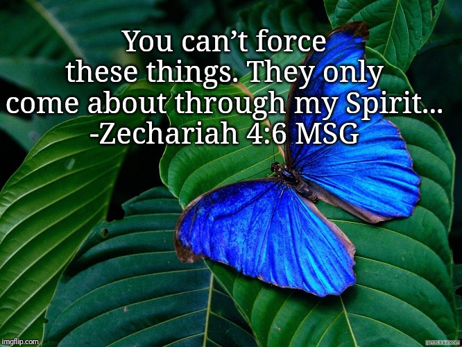 You can’t force these things. They only come about through my Spirit...
-Zechariah 4:6 MSG | image tagged in kki,hj | made w/ Imgflip meme maker