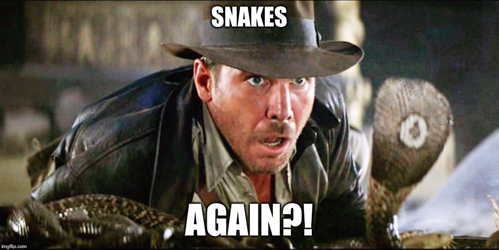 This is...getting old... | SNAKES; AGAIN?! | image tagged in indiana jones snakes,indiana jones,seriously,seriously face,funny,memes | made w/ Imgflip meme maker