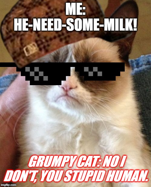Deal-with-it Grumpy Cat | ME: HE-NEED-SOME-MILK! GRUMPY CAT: NO I DON'T, YOU STUPID HUMAN. | image tagged in memes,grumpy cat,deal with it,he need some milk | made w/ Imgflip meme maker