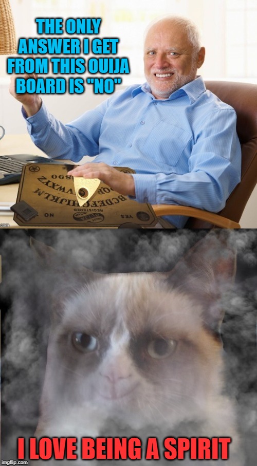 Grumpy's ghost | THE ONLY ANSWER I GET FROM THIS OUIJA BOARD IS "NO"; I LOVE BEING A SPIRIT | image tagged in funny memes,halloween,rip grumpy cat,ouija board,hide the pain harold | made w/ Imgflip meme maker