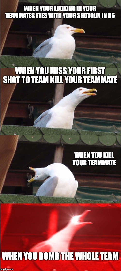 Inhaling Seagull Meme | WHEN YOUR LOOKING IN YOUR TEAMMATES EYES WITH YOUR SHOTGUN IN R6; WHEN YOU MISS YOUR FIRST SHOT TO TEAM KILL YOUR TEAMMATE; WHEN YOU KILL YOUR TEAMMATE; WHEN YOU BOMB THE WHOLE TEAM | image tagged in memes,inhaling seagull | made w/ Imgflip meme maker