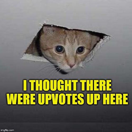 Ceiling Cat Meme | I THOUGHT THERE WERE UPVOTES UP HERE | image tagged in memes,ceiling cat,funny memes,imgflip | made w/ Imgflip meme maker