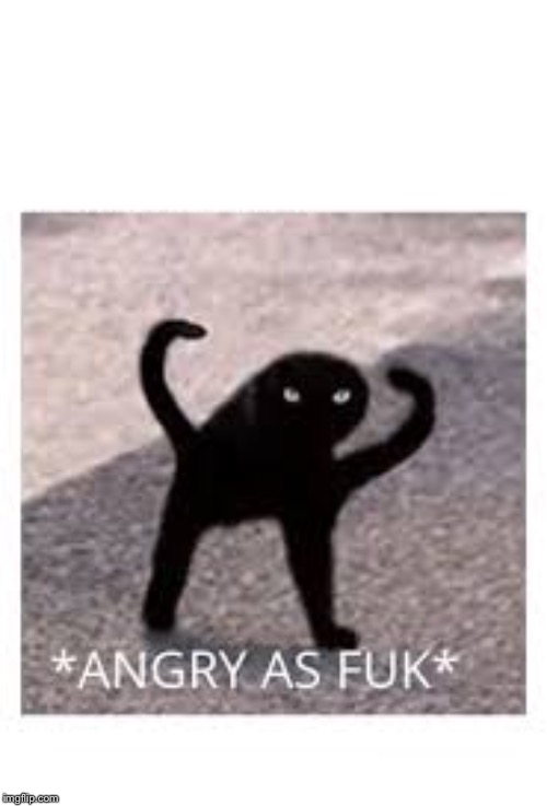 Angery as Fuk | image tagged in angery as fuk | made w/ Imgflip meme maker
