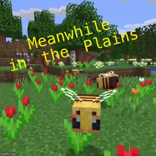 Minecraft bees | Meanwhile in the Plains | image tagged in minecraft bees | made w/ Imgflip meme maker